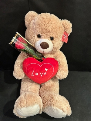 Teddy Amour