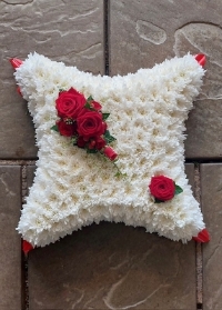 A Cushion Tribute