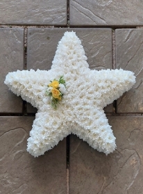 Star Tribute